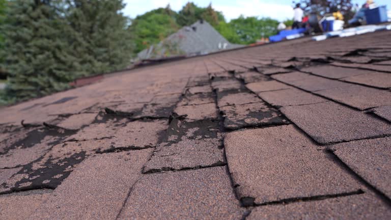  South Hill, NY Roofing Service Pros